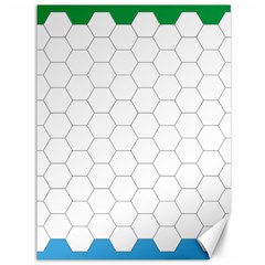 Hex Grid Plaid Green Yellow Blue Orange White Canvas 36  X 48   by Mariart