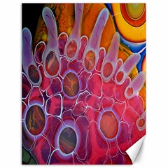 Micro Macro Belle Fisher Nature Stone Canvas 18  X 24   by Mariart