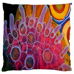 Micro Macro Belle Fisher Nature Stone Standard Flano Cushion Case (two Sides) by Mariart