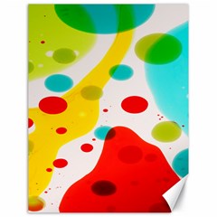 Polkadot Color Rainbow Red Blue Yellow Green Canvas 18  X 24  