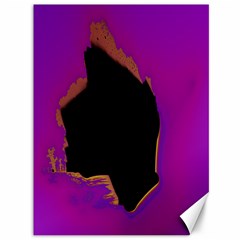 Buffalo Fractal Black Purple Space Canvas 36  X 48  