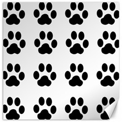 Claw Black Foot Chat Paw Animals Canvas 16  X 16  