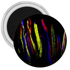 Multicolor Lineage Tracing Confetti Elegantly Illustrates Strength Combining Molecular Genetics Micr 3  Magnets by Mariart