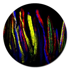 Multicolor Lineage Tracing Confetti Elegantly Illustrates Strength Combining Molecular Genetics Micr Magnet 5  (round) by Mariart