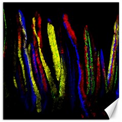 Multicolor Lineage Tracing Confetti Elegantly Illustrates Strength Combining Molecular Genetics Micr Canvas 16  X 16   by Mariart