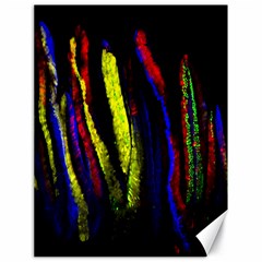 Multicolor Lineage Tracing Confetti Elegantly Illustrates Strength Combining Molecular Genetics Micr Canvas 18  X 24   by Mariart