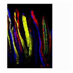 Multicolor Lineage Tracing Confetti Elegantly Illustrates Strength Combining Molecular Genetics Micr Large Garden Flag (two Sides) by Mariart