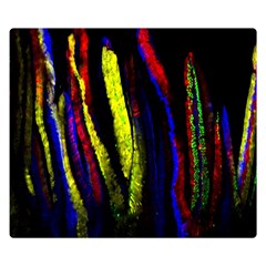 Multicolor Lineage Tracing Confetti Elegantly Illustrates Strength Combining Molecular Genetics Micr Double Sided Flano Blanket (small)  by Mariart