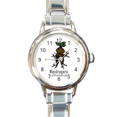 Mandrake Plant Round Italian Charm Watch by Valentinaart