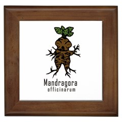 Mandrake Plant Framed Tiles by Valentinaart