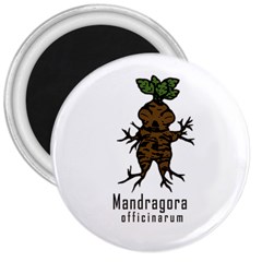 Mandrake Plant 3  Magnets by Valentinaart