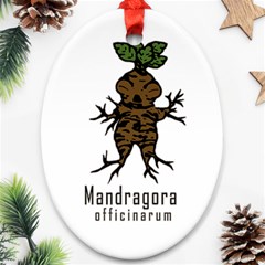 Mandrake Plant Ornament (oval) by Valentinaart