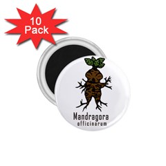 Mandrake Plant 1 75  Magnets (10 Pack)  by Valentinaart