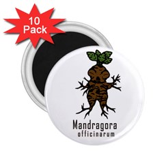 Mandrake Plant 2 25  Magnets (10 Pack)  by Valentinaart