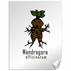 Mandrake Plant Canvas 18  X 24   by Valentinaart