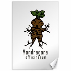 Mandrake Plant Canvas 20  X 30   by Valentinaart