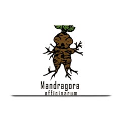 Mandrake Plant Plate Mats