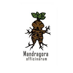 Mandrake Plant Memory Card Reader by Valentinaart