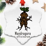 Mandrake plant Snowflake Ornament (Two Sides) Front