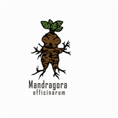 Mandrake Plant Small Garden Flag (two Sides) by Valentinaart