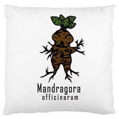 Mandrake Plant Large Cushion Case (one Side) by Valentinaart