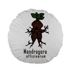 Mandrake Plant Standard 15  Premium Round Cushions by Valentinaart