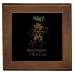 Mandrake Plant Framed Tiles by Valentinaart