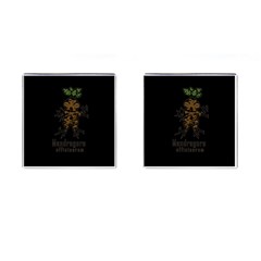 Mandrake Plant Cufflinks (square) by Valentinaart