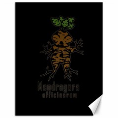 Mandrake Plant Canvas 12  X 16   by Valentinaart