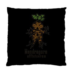 Mandrake Plant Standard Cushion Case (one Side) by Valentinaart