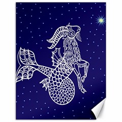 Capricorn Zodiac Star Canvas 18  X 24   by Mariart