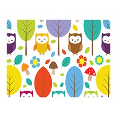 Cute Owl Double Sided Flano Blanket (mini)  by Nexatart