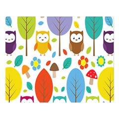 Cute Owl Double Sided Flano Blanket (large)  by Nexatart