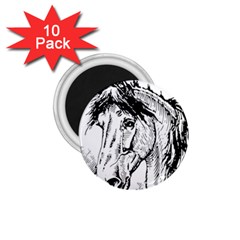 Framed Horse 1 75  Magnets (10 Pack)  by Nexatart