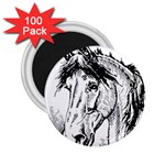 Framed Horse 2.25  Magnets (100 pack)  Front