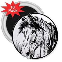 Framed Horse 3  Magnets (10 Pack)  by Nexatart