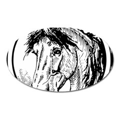 Framed Horse Oval Magnet by Nexatart