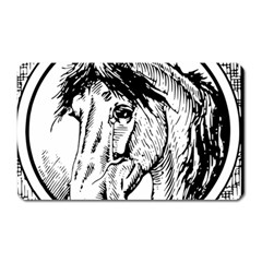 Framed Horse Magnet (rectangular) by Nexatart