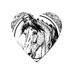 Framed Horse Heart Magnet by Nexatart