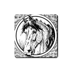 Framed Horse Square Magnet by Nexatart