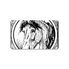 Framed Horse Magnet (name Card) by Nexatart