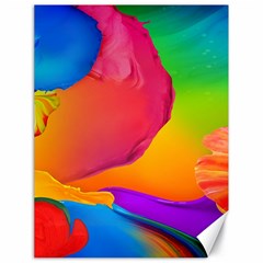 Paint Rainbow Color Blue Red Green Blue Purple Canvas 18  X 24   by Mariart