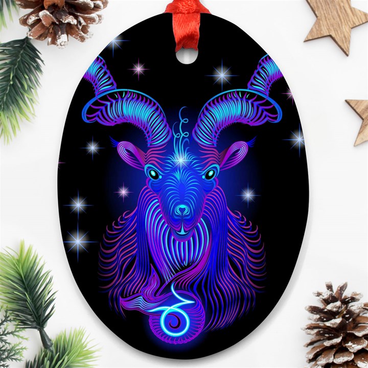 Sign Capricorn Zodiac Oval Ornament (Two Sides)