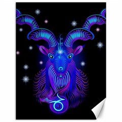 Sign Capricorn Zodiac Canvas 12  X 16  