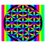 Rainbow Flower Of Life In Black Circle Double Sided Flano Blanket (Small)  50 x40  Blanket Front