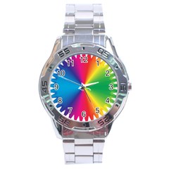 Rainbow Seal Re Imagined Stainless Steel Analogue Watch by Nexatart