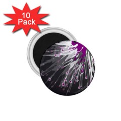 Big Bang 1 75  Magnets (10 Pack) 