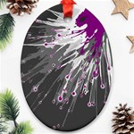 Big bang Oval Ornament (Two Sides) Front