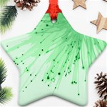 Big bang Ornament (Star) Front