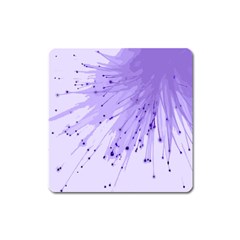 Big Bang Square Magnet by ValentinaDesign